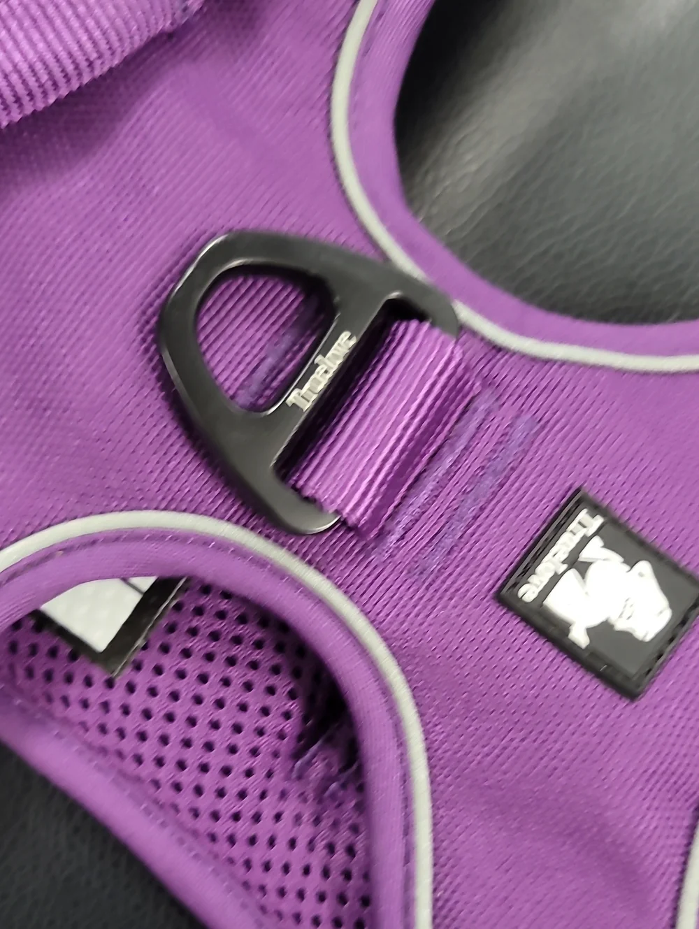 Purple Mesh Dog Harness for Kids Accessories